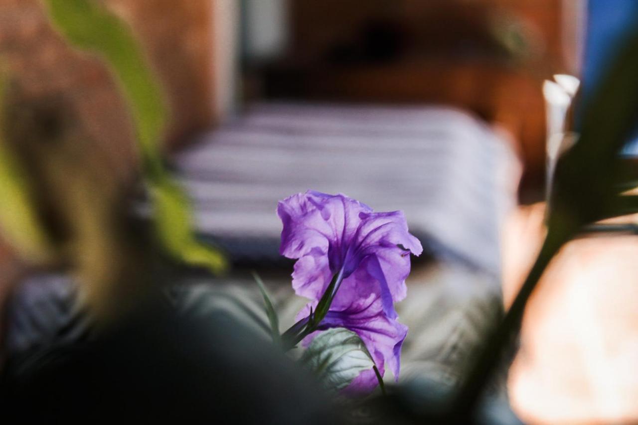 Casa Ka'A Hostel 乌巴图巴 外观 照片